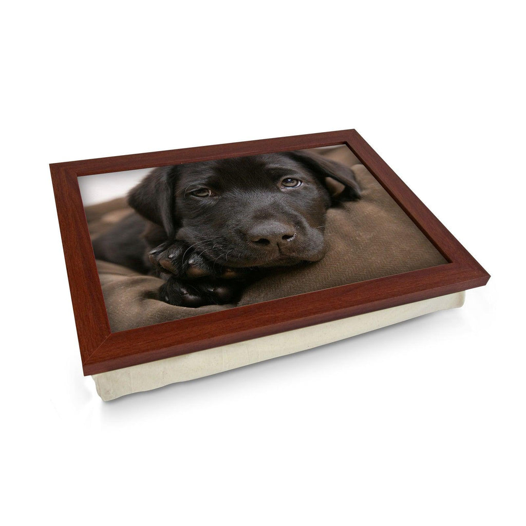 Chocolate Labrador Puppy Lap Tray - L0587 Personalised Lap Trays