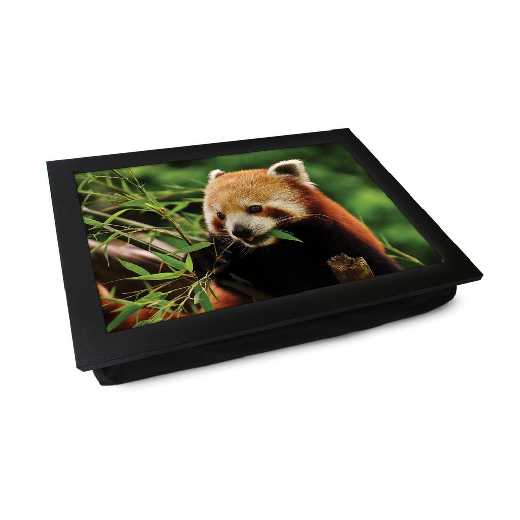 Chomping Red Panda Lap Tray - L1184 - Cushioned Lap Trays by Yoosh