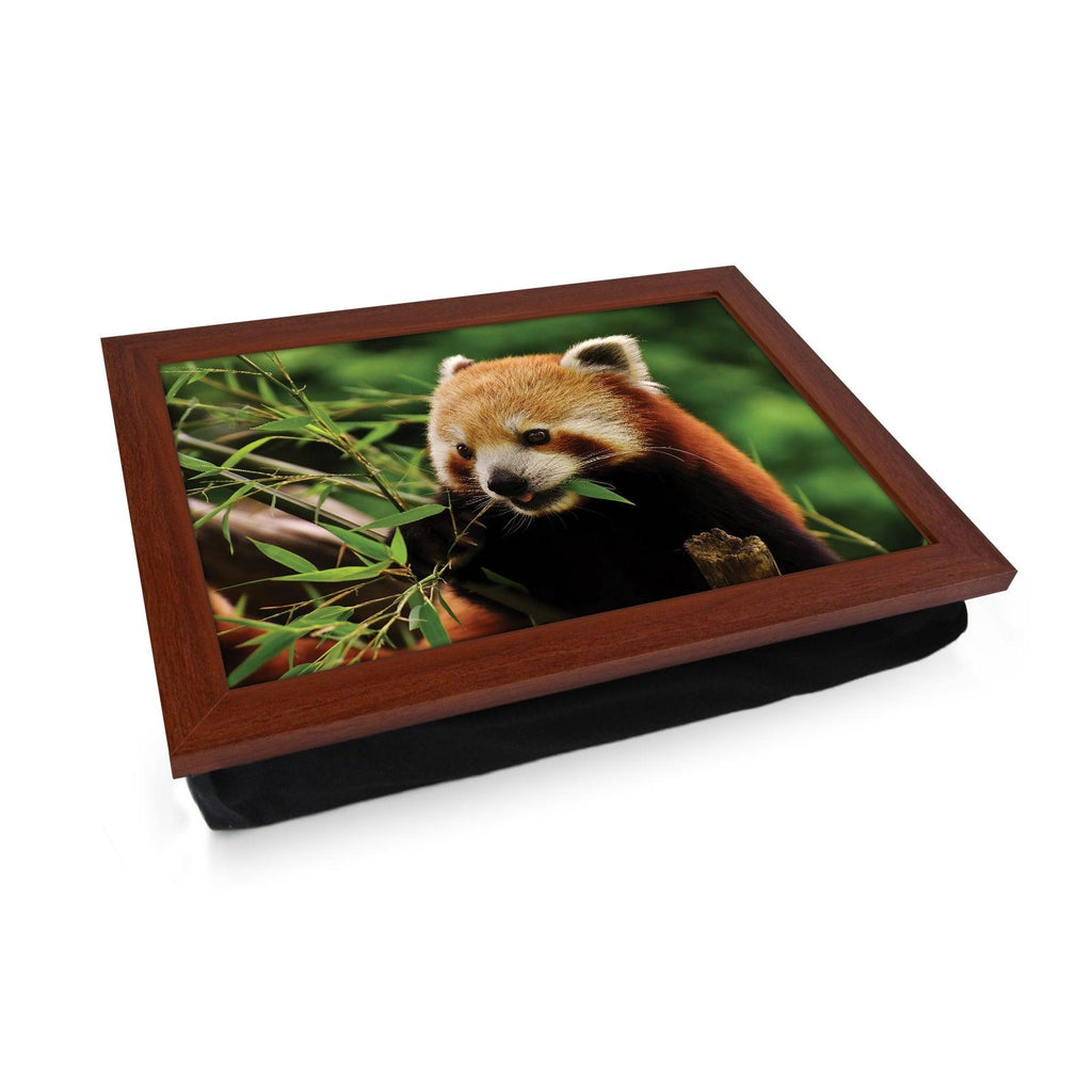 Chomping Red Panda Lap Tray - L1184 - Cushioned Lap Trays by Yoosh