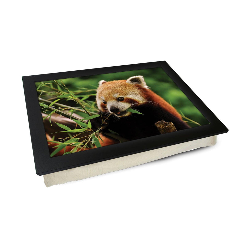 Chomping Red Panda Lap Tray - L1184 - Cushioned Lap Trays by Yoosh