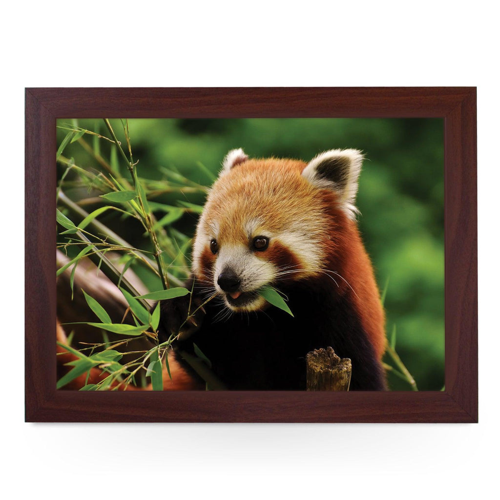 Chomping Red Panda Lap Tray - L1184 - Cushioned Lap Trays by Yoosh