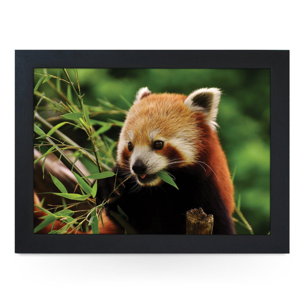 Chomping Red Panda Lap Tray - L1184 - Cushioned Lap Trays by Yoosh