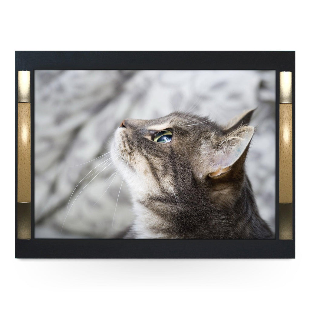Curious Grey Cat Looking Up Serving Tray - 0177 - Cushioned Lap Trays by Yoosh