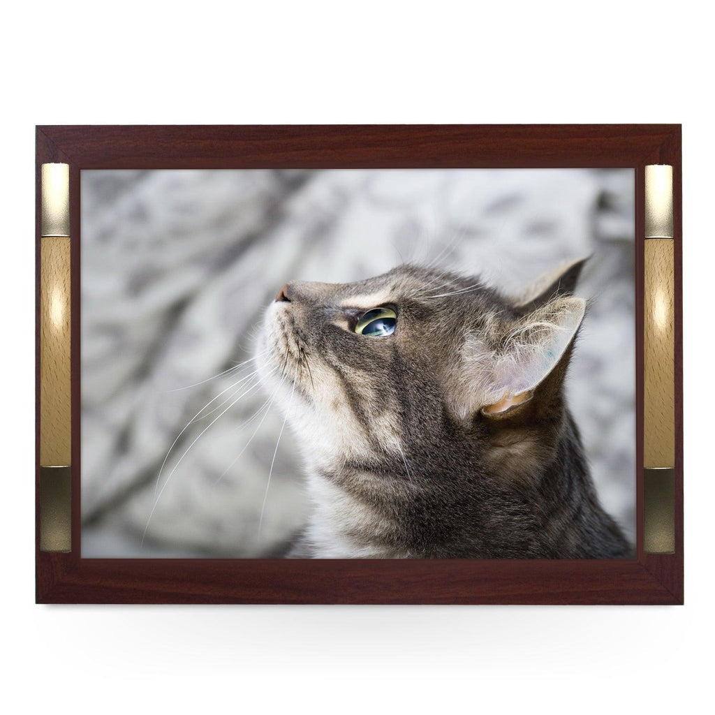 Curious Grey Cat Looking Up Serving Tray - 0177 - Cushioned Lap Trays by Yoosh