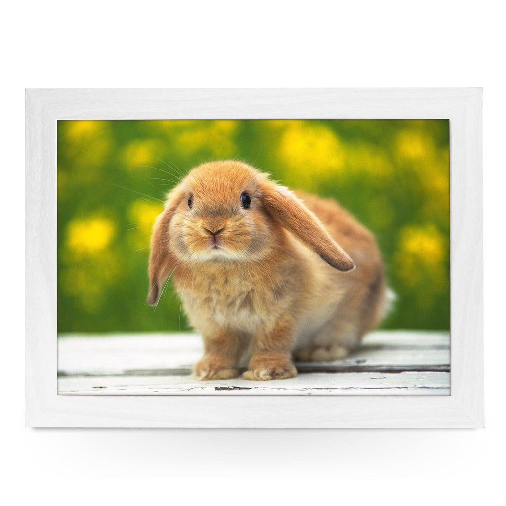 Cute Bunny Rabbit Lap Tray - L0480 Personalised Lap Trays