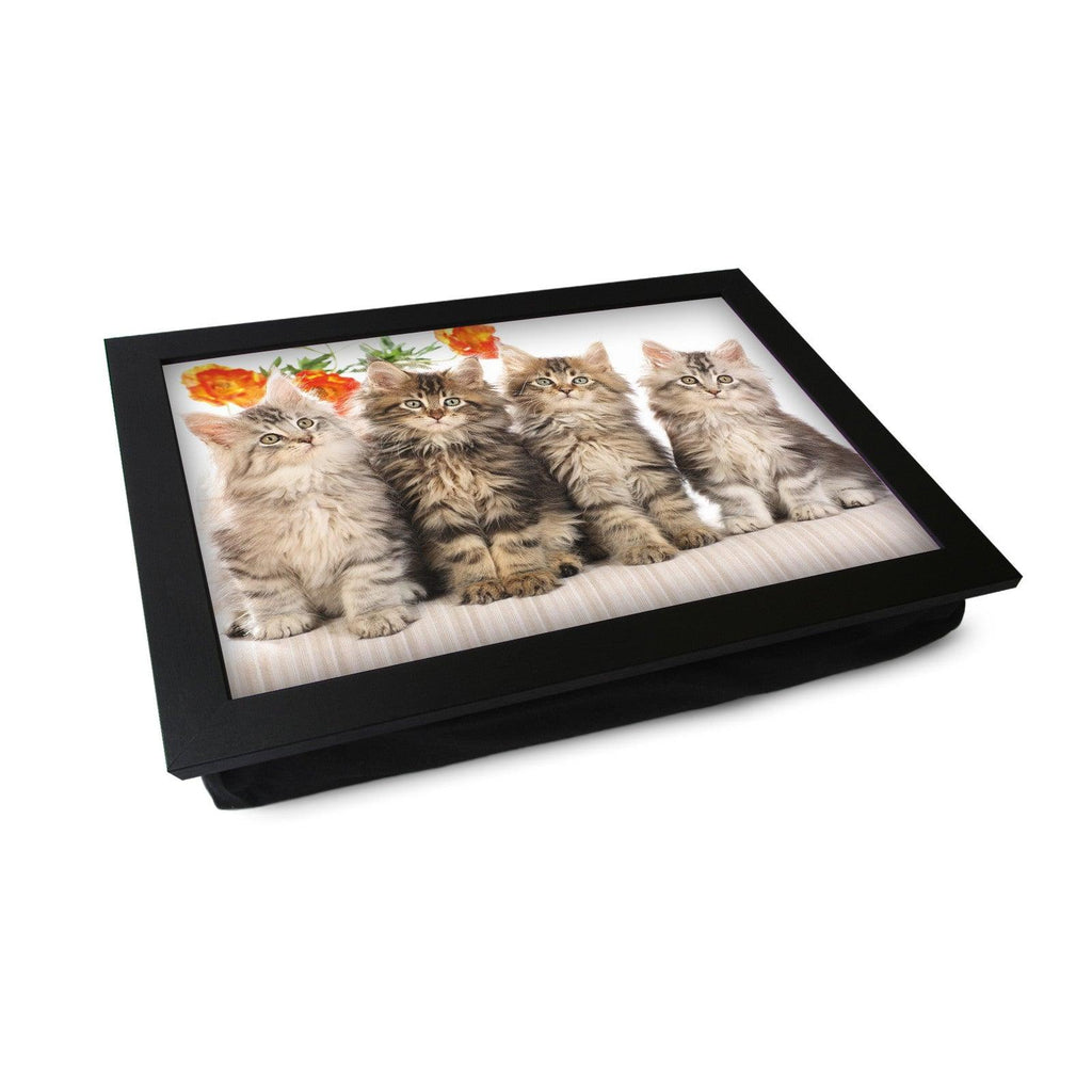 Cute Long Haired Kittens Lap Tray - L0400 Personalised Lap Trays