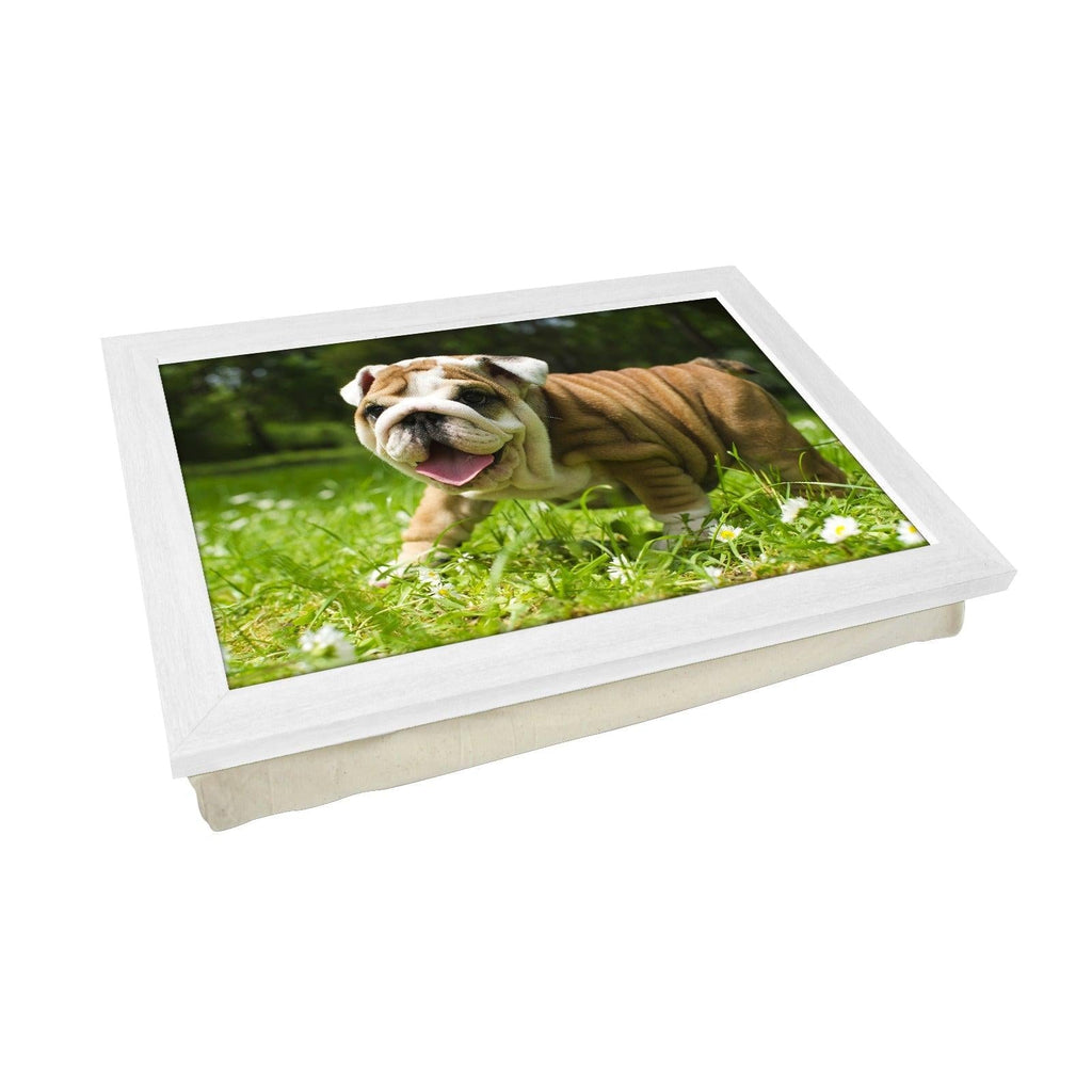 English Bulldog Puppy Lap Tray - L0142 Personalised Lap Trays