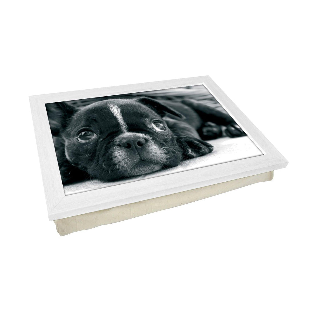 French Bulldog Puppy Lap Tray - L0138 Personalised Lap Trays