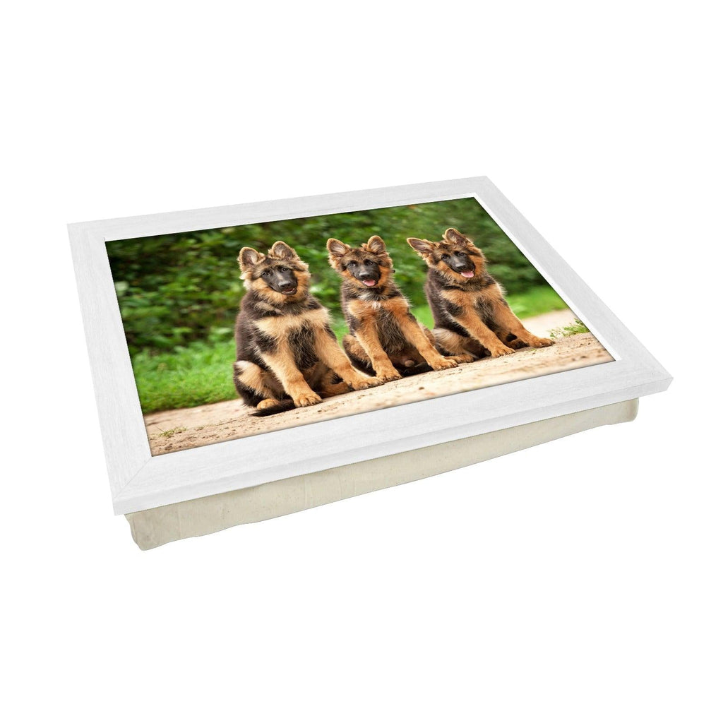 German Shepherd Puppies Lap Tray - L0580 Personalised Lap Trays