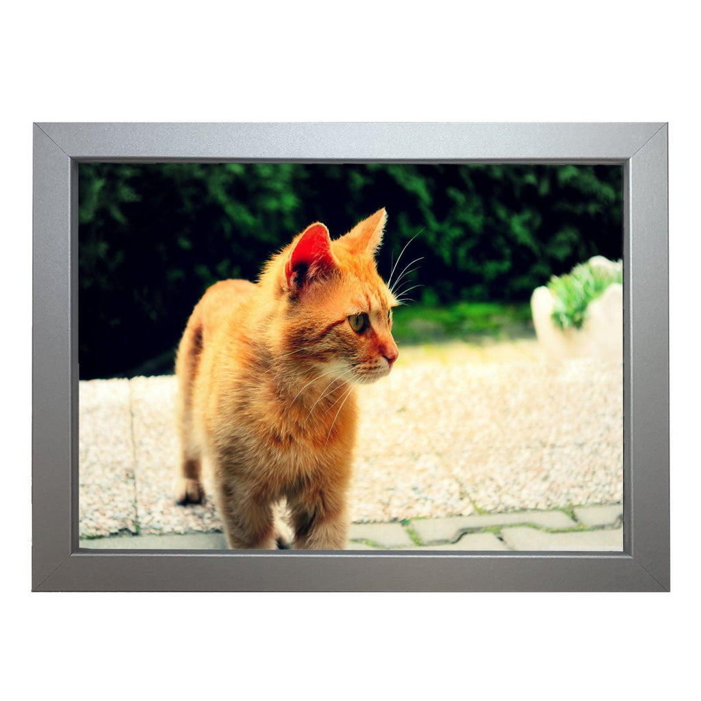 Ginger Cat Lap Tray - L028 - Yoosh