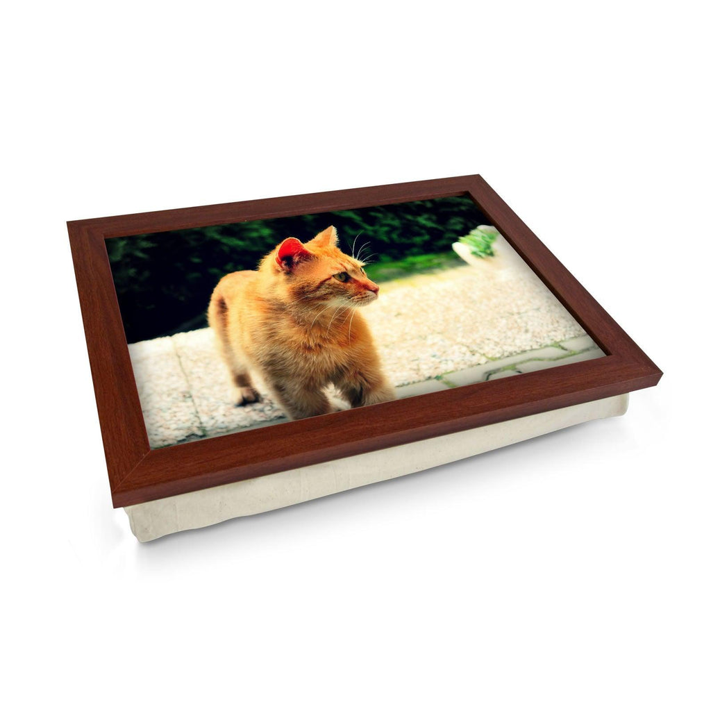 Ginger Cat Lap Tray - L0028 Personalised Lap Trays