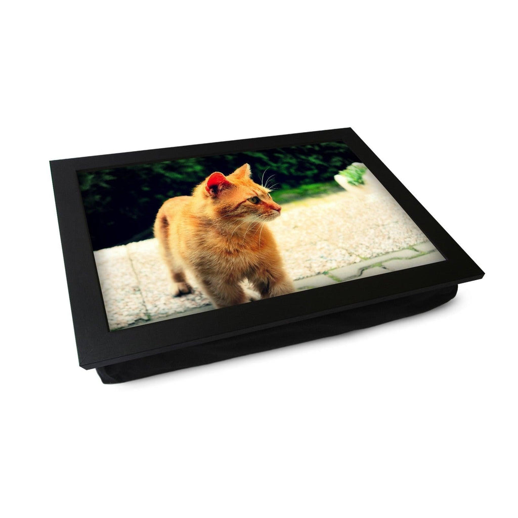 Ginger Cat Lap Tray - L0028 Personalised Lap Trays