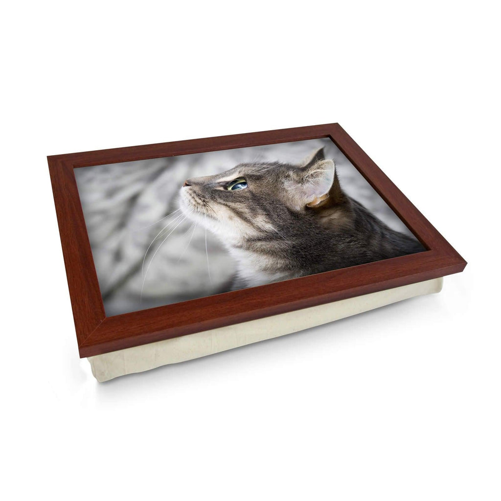 Grey Cat Looking Up  Lap Tray - L0177 Personalised Lap Trays