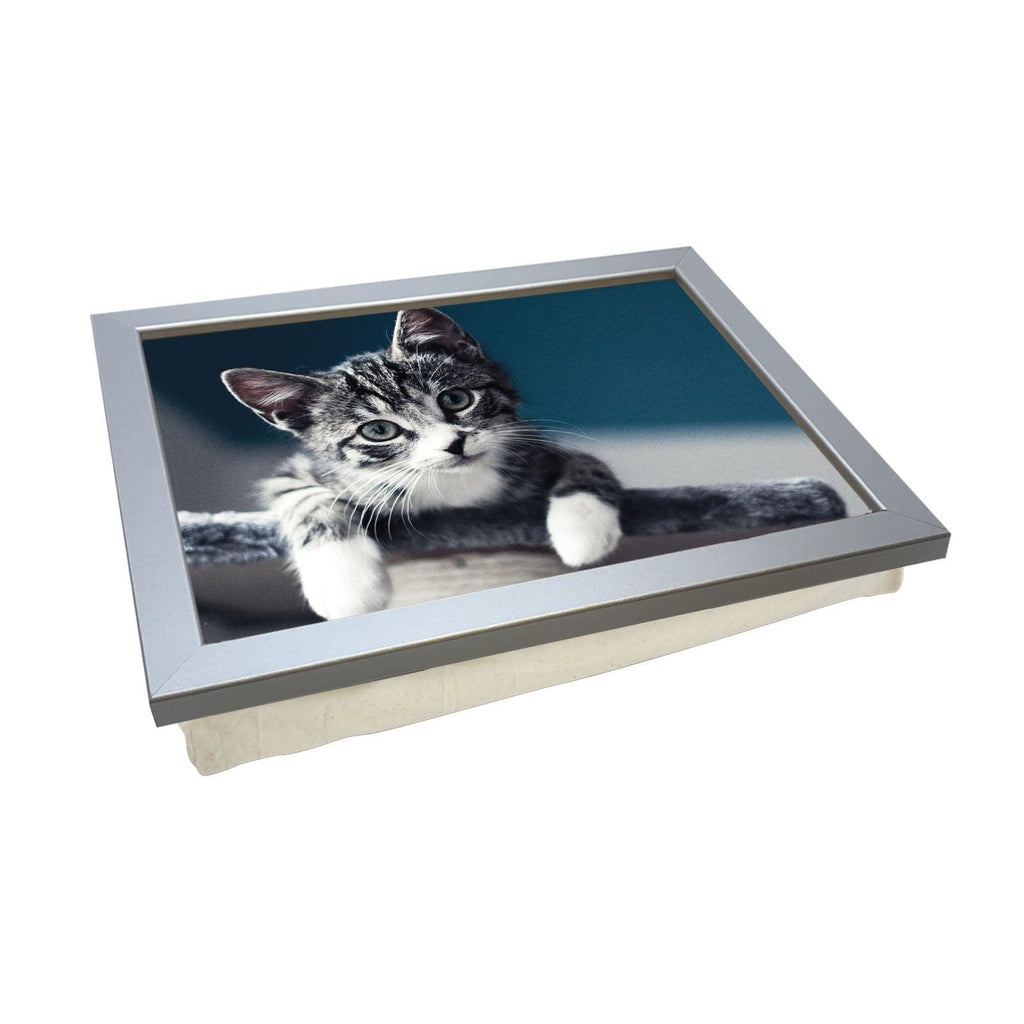 Grey Kitten Playing Lap Tray - L0031 - Yoosh