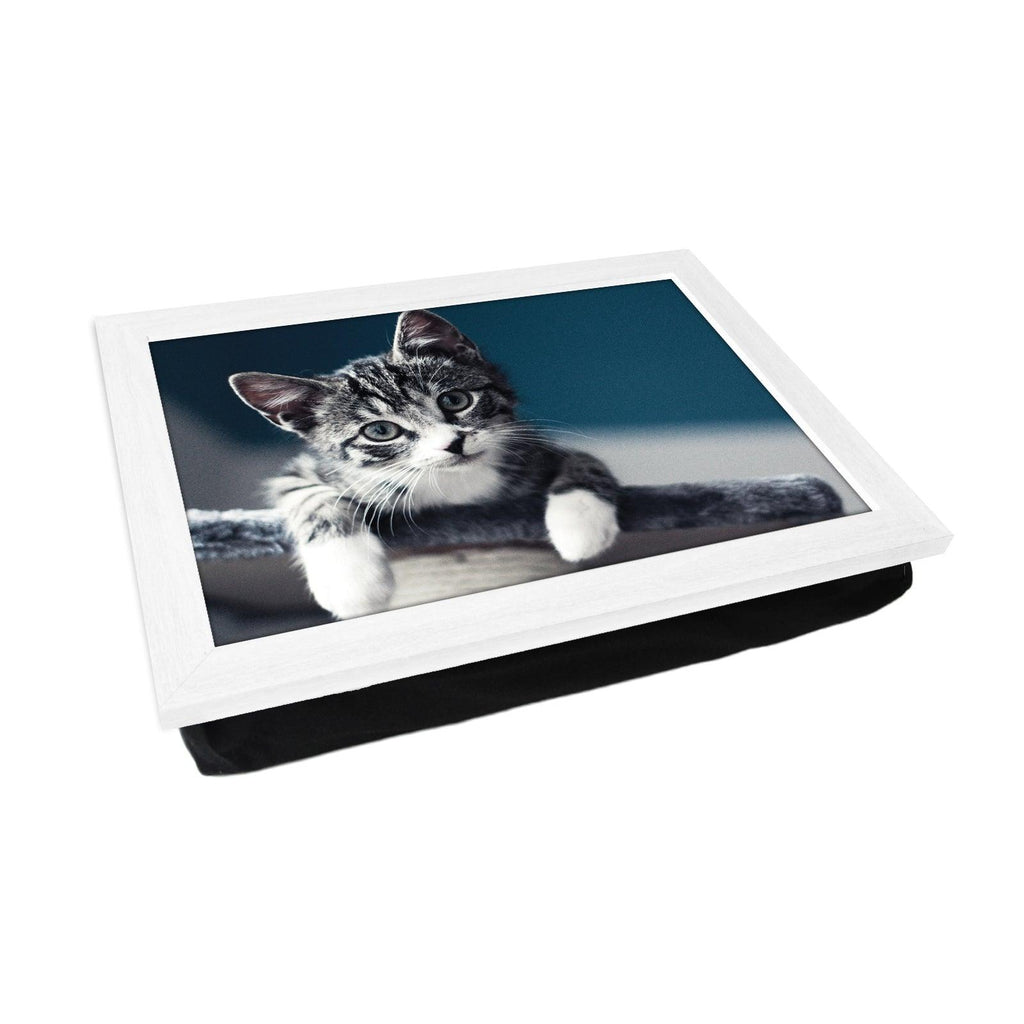 Grey Kitten Playing Lap Tray - L0031 - Yoosh