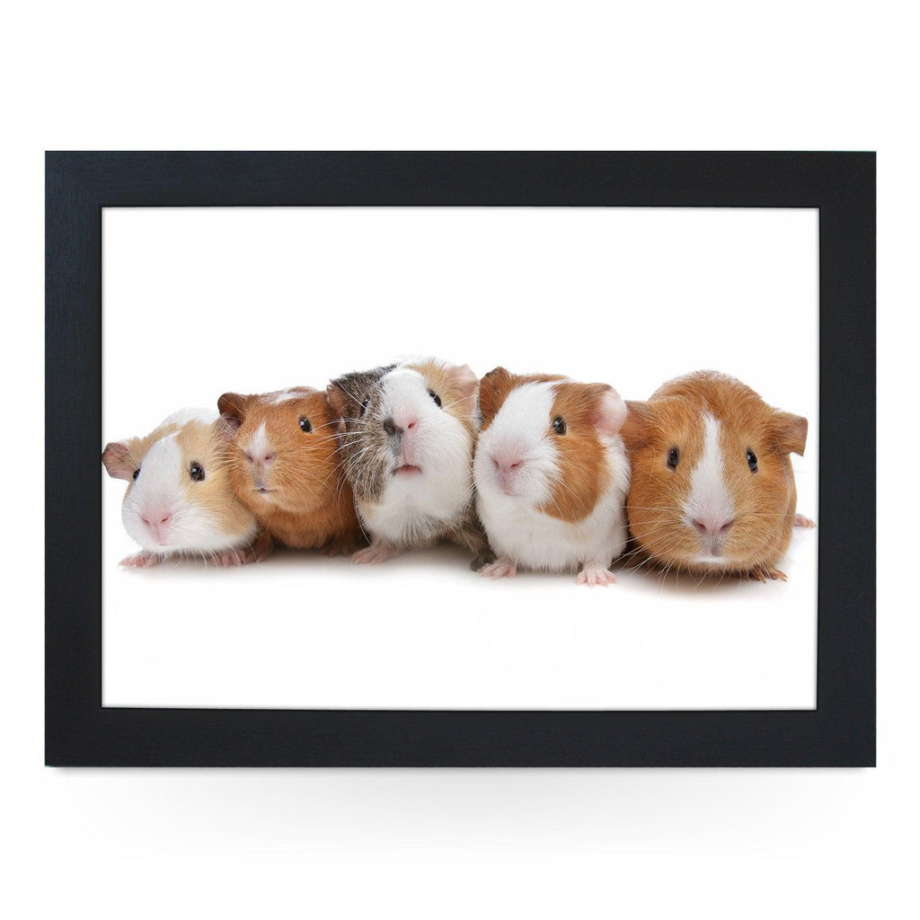 Guinea Pigs Lap Tray - L0141 Personalised Lap Trays