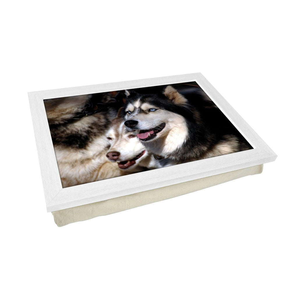 Husky Dogs Lap Tray - L0090 Personalised Lap Trays