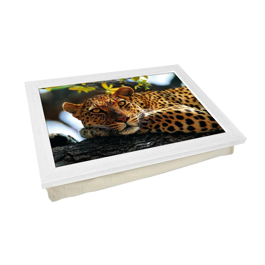 Leopard In Tree - L0047 Personalised Lap Trays