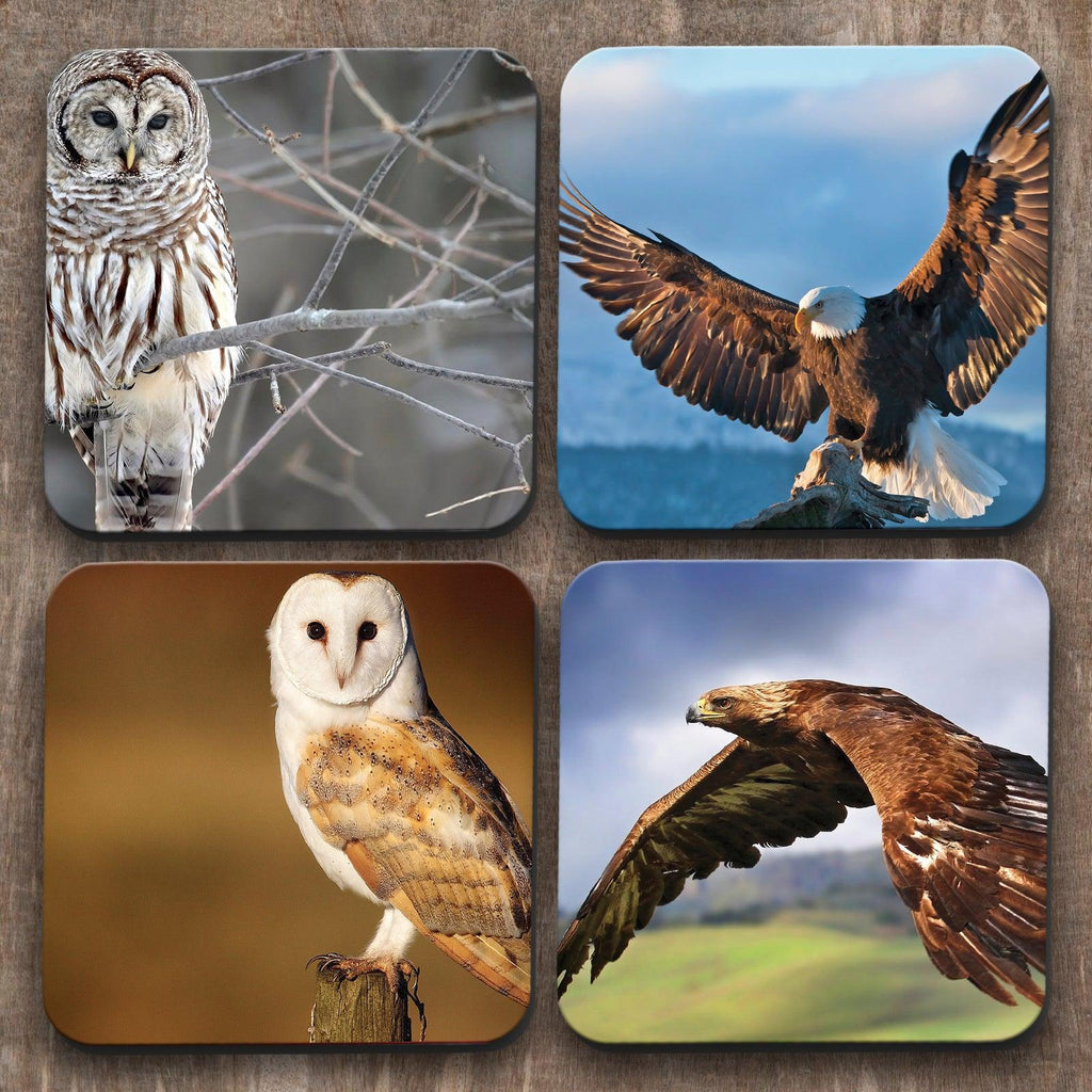 Owls and Eagles x 4 Coasters C0030 Cushioned Lap Trays by Yoosh
