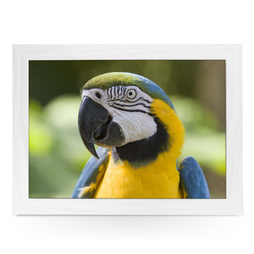 Parrot Lap Tray - L0126 Personalised Lap Trays