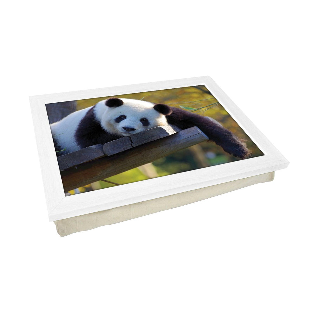 Resting Panda Lap Tray - L1185 - Cushioned Lap Trays by Yoosh