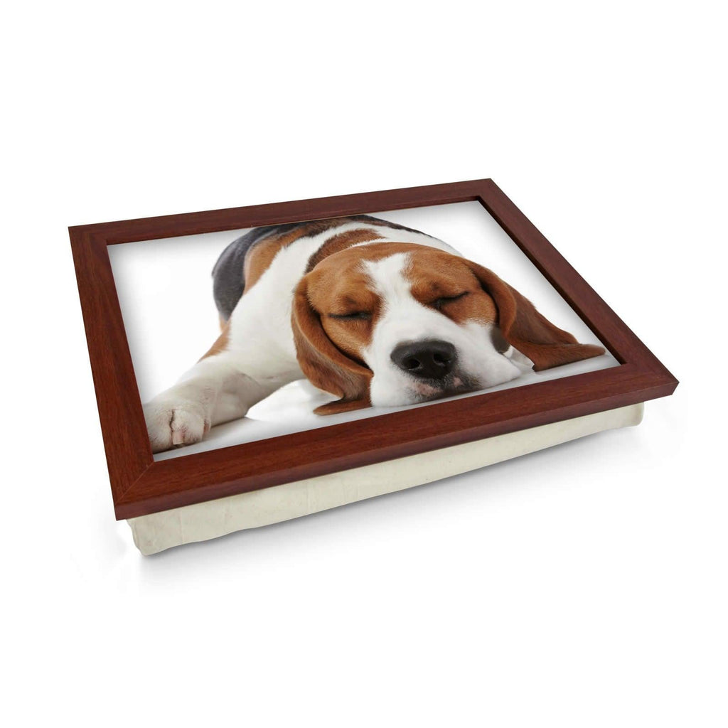 Sleeping Beagle Lap Tray - L0115 Personalised Lap Trays