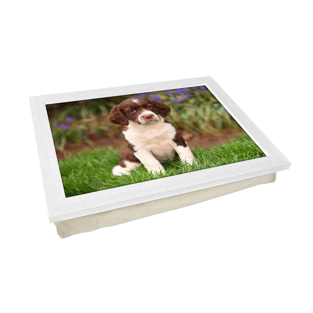 Springer Spaniel Puppy Lap Tray - L0586 Personalised Lap Trays