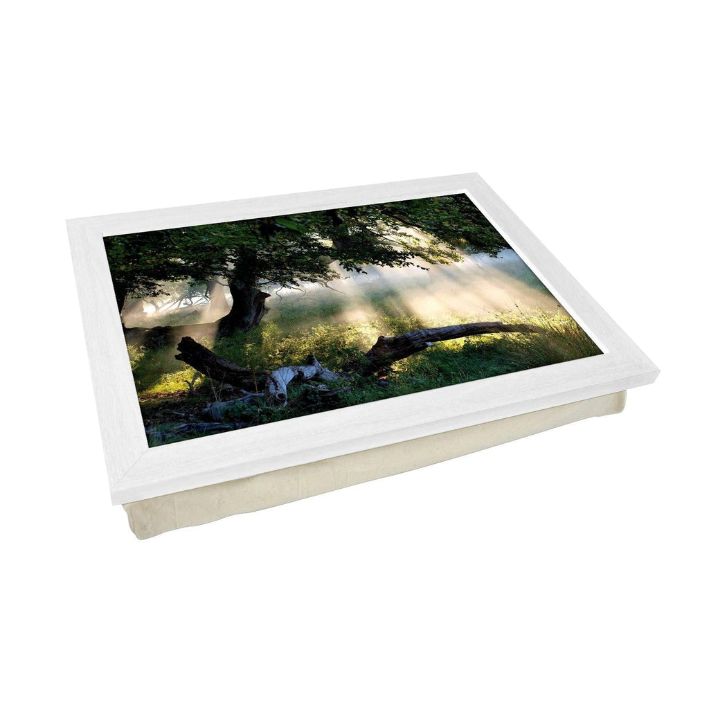 Sunlight Through A Tree Lap Tray - L0087 Personalised Lap Trays