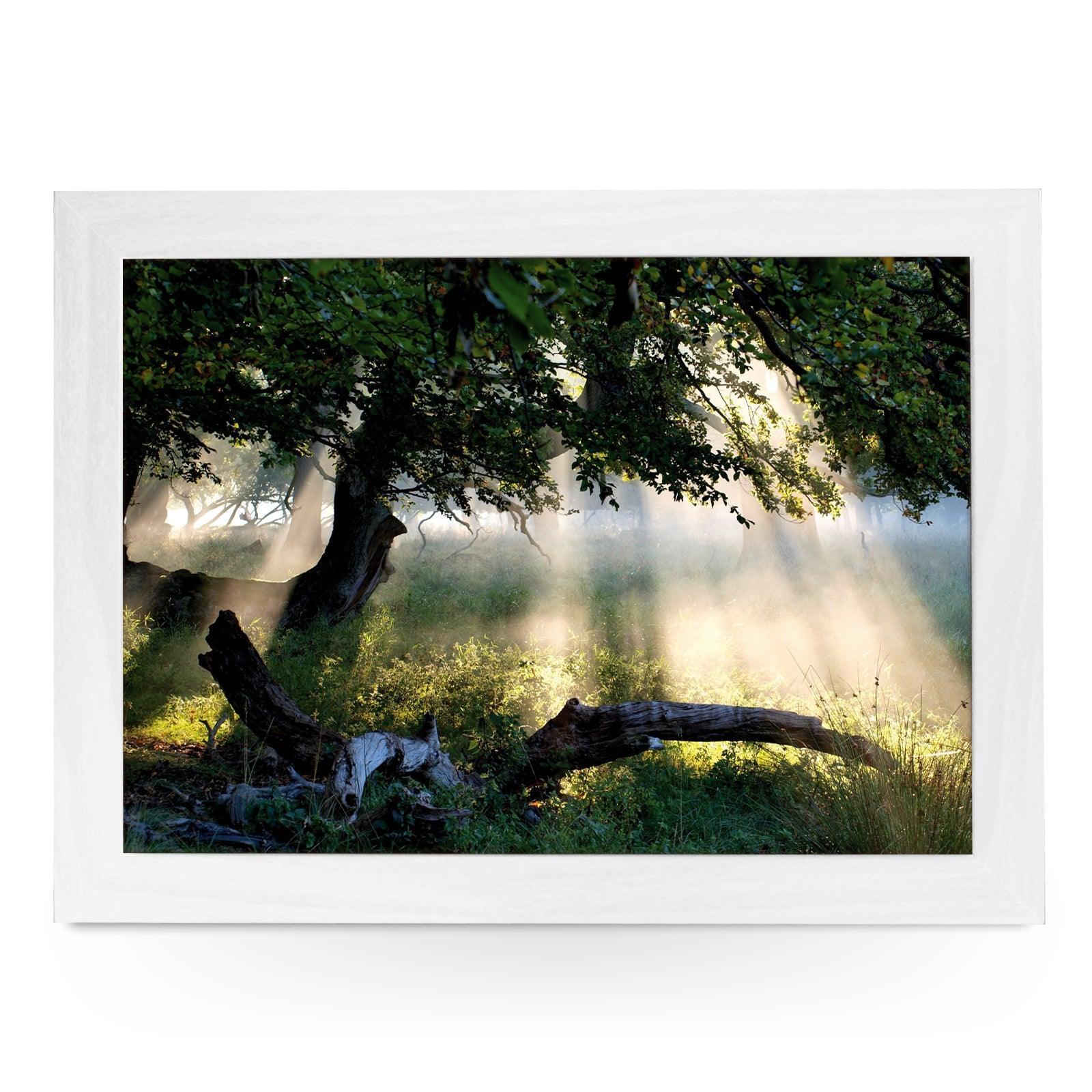 Sunlight Through A Tree Lap Tray - L0087 Personalised Lap Trays