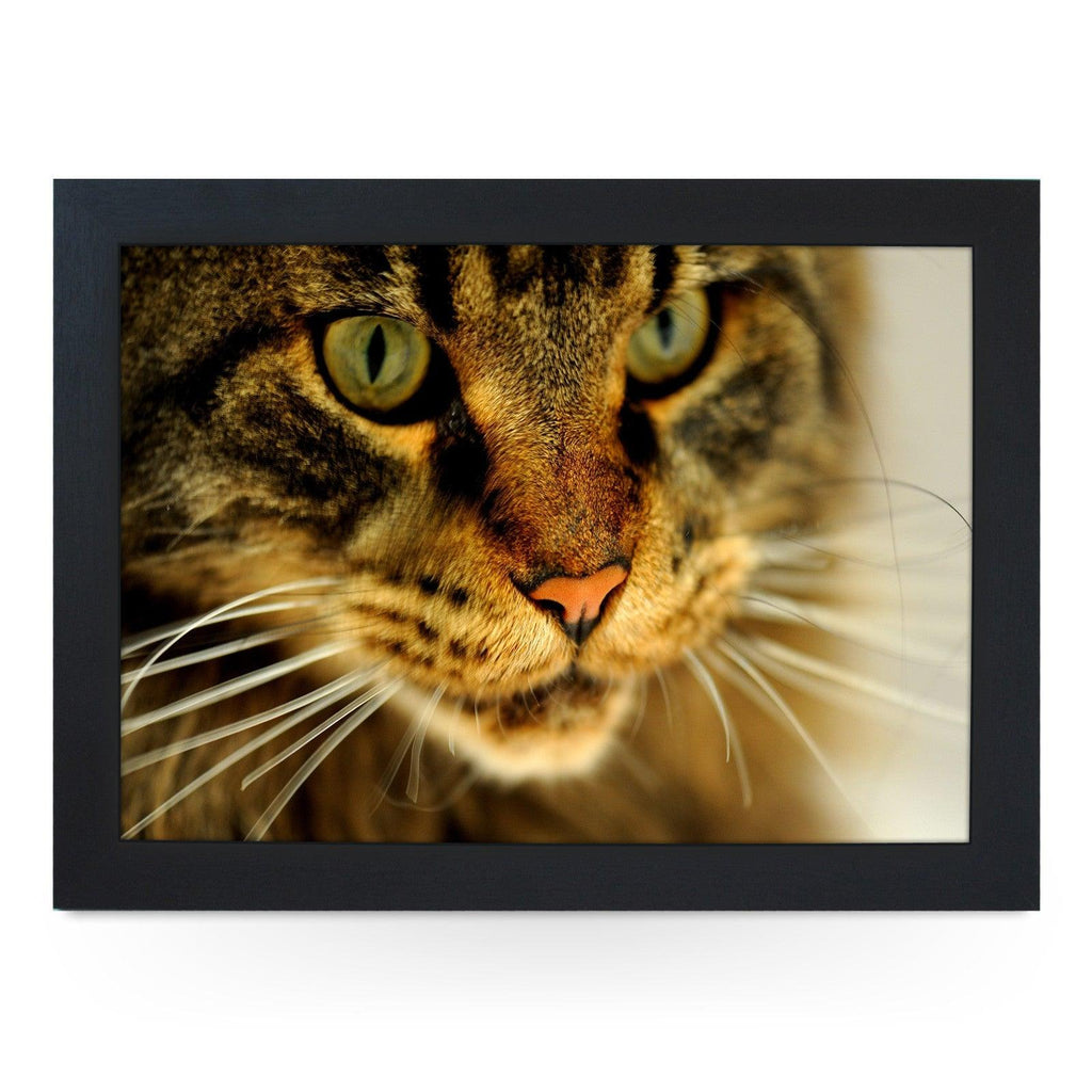 Tabby Cat Close Up Lap Tray - L0044 Personalised Lap Trays