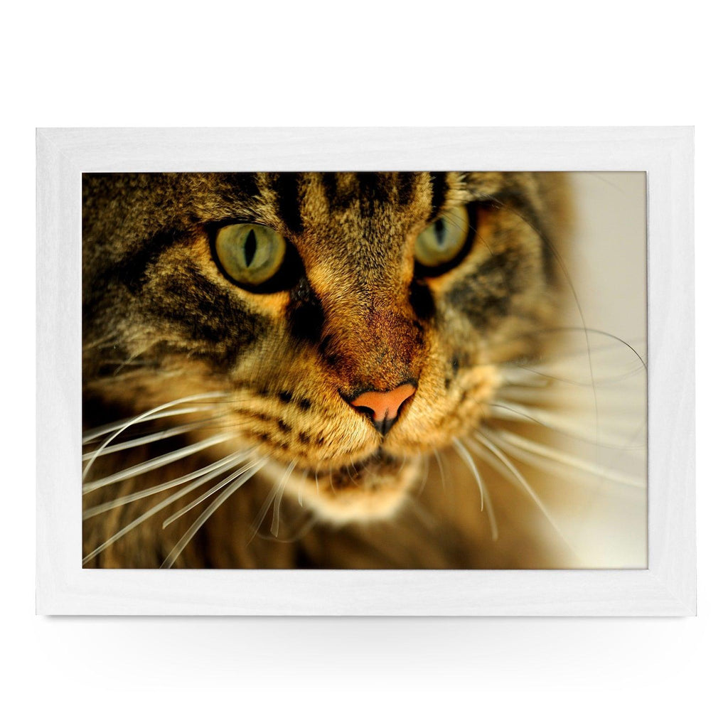 Tabby Cat Close Up Lap Tray - L0044 Personalised Lap Trays