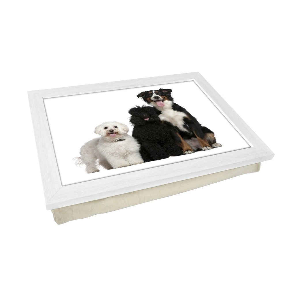 Three Dog Breeds Lap Tray - L0080 Personalised Lap Trays