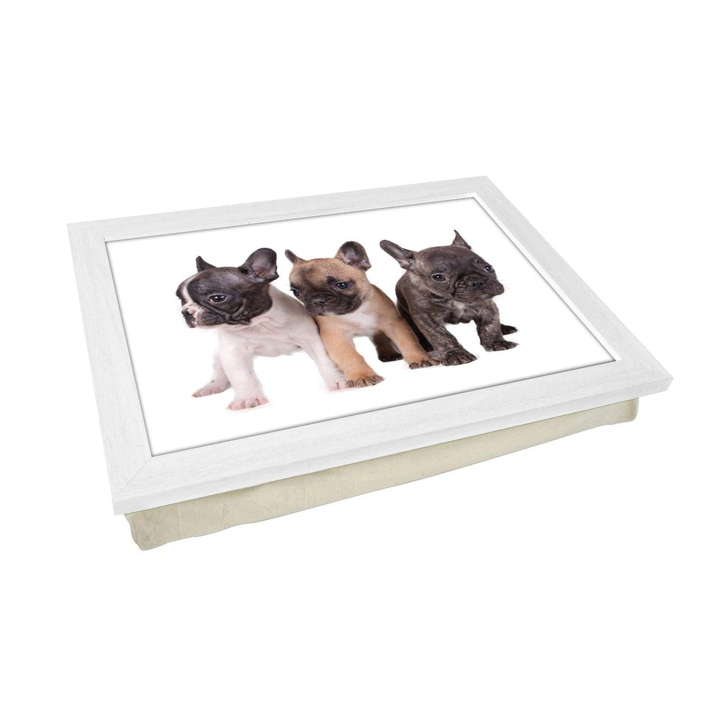 Three French Bull Dog Puppies Lap Tray - L0079 Personalised Lap Trays