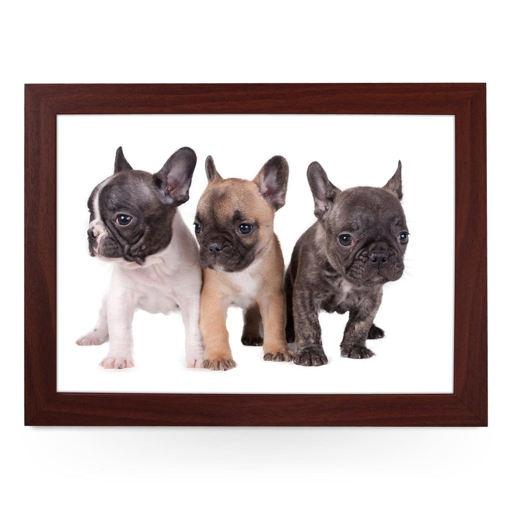 Three French Bull Dog Puppies Lap Tray - L0079 Personalised Lap Trays