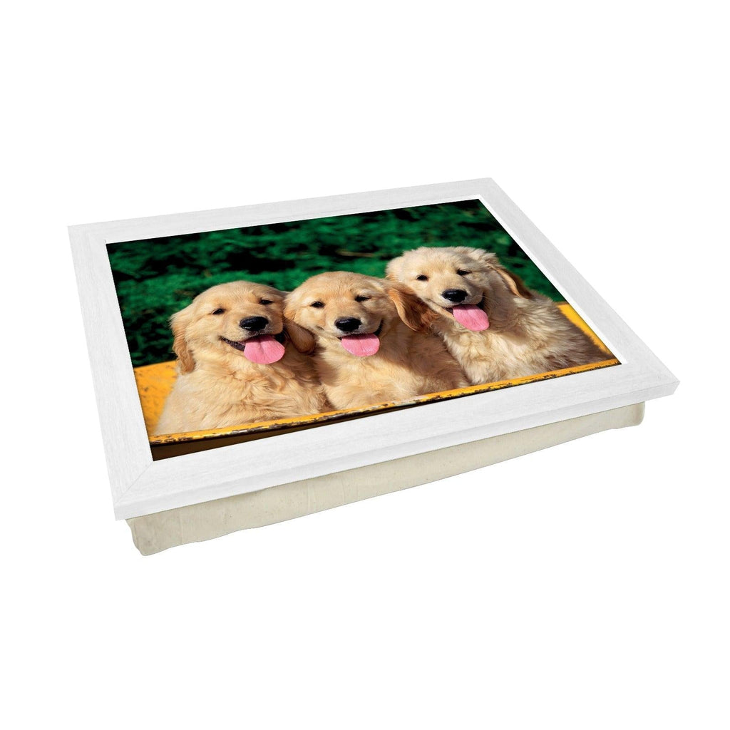 Three Golden Retriever Puppies In A Tub Lap Tray - L0397 Personalised Lap Trays