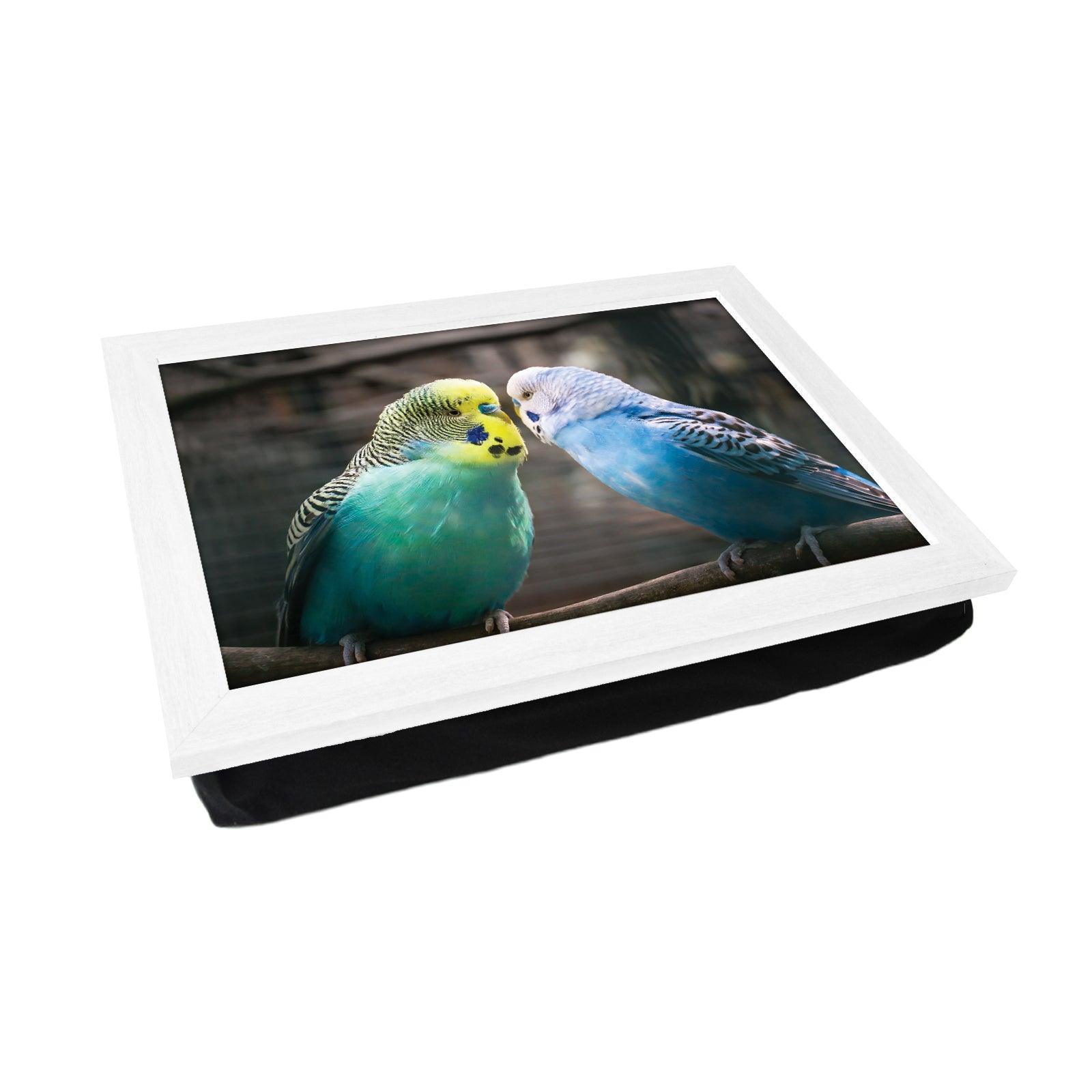 Vibrantly Colourful Budgies Lap Tray - L1188 - Cushioned Lap Trays by Yoosh