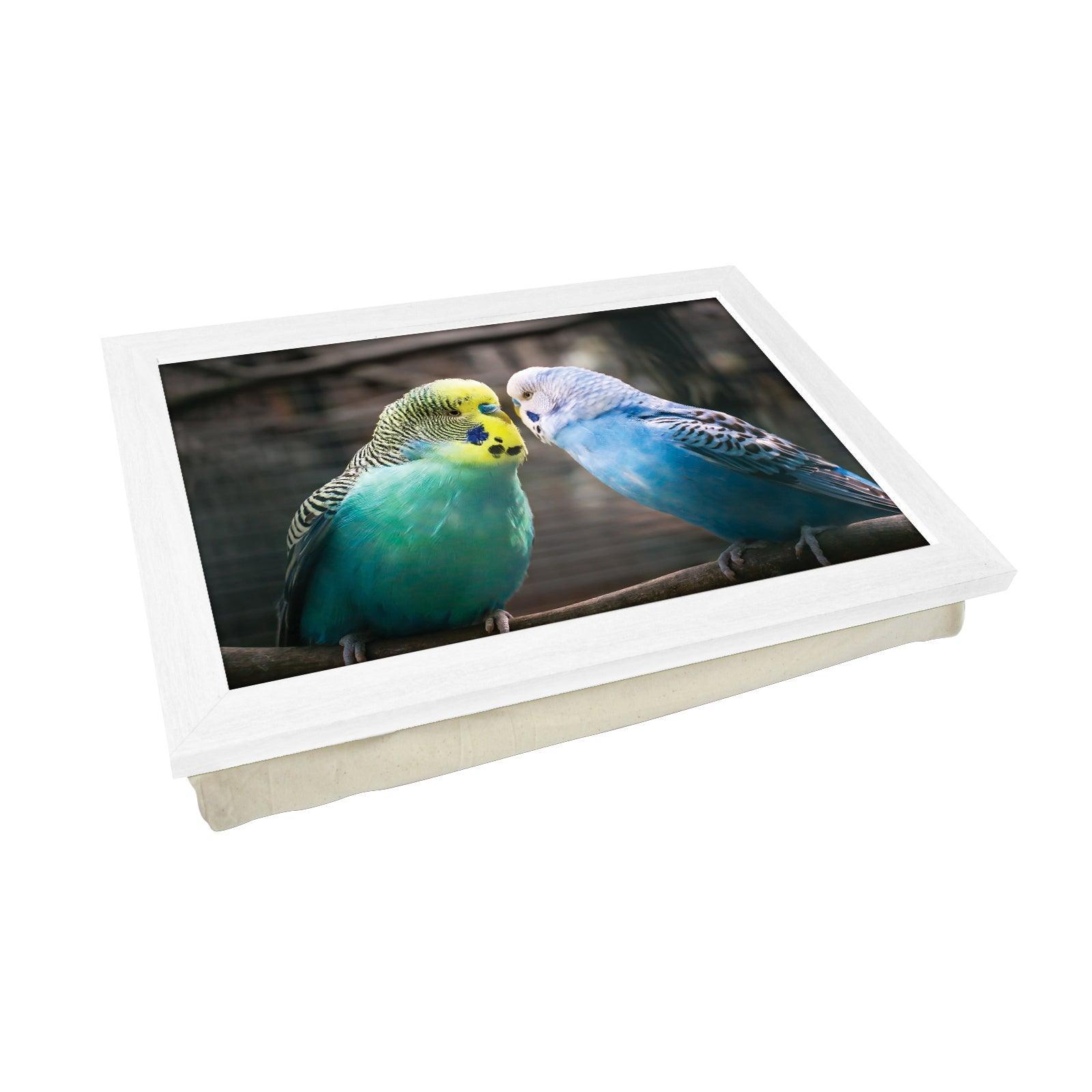 Vibrantly Colourful Budgies Lap Tray - L1188 - Cushioned Lap Trays by Yoosh