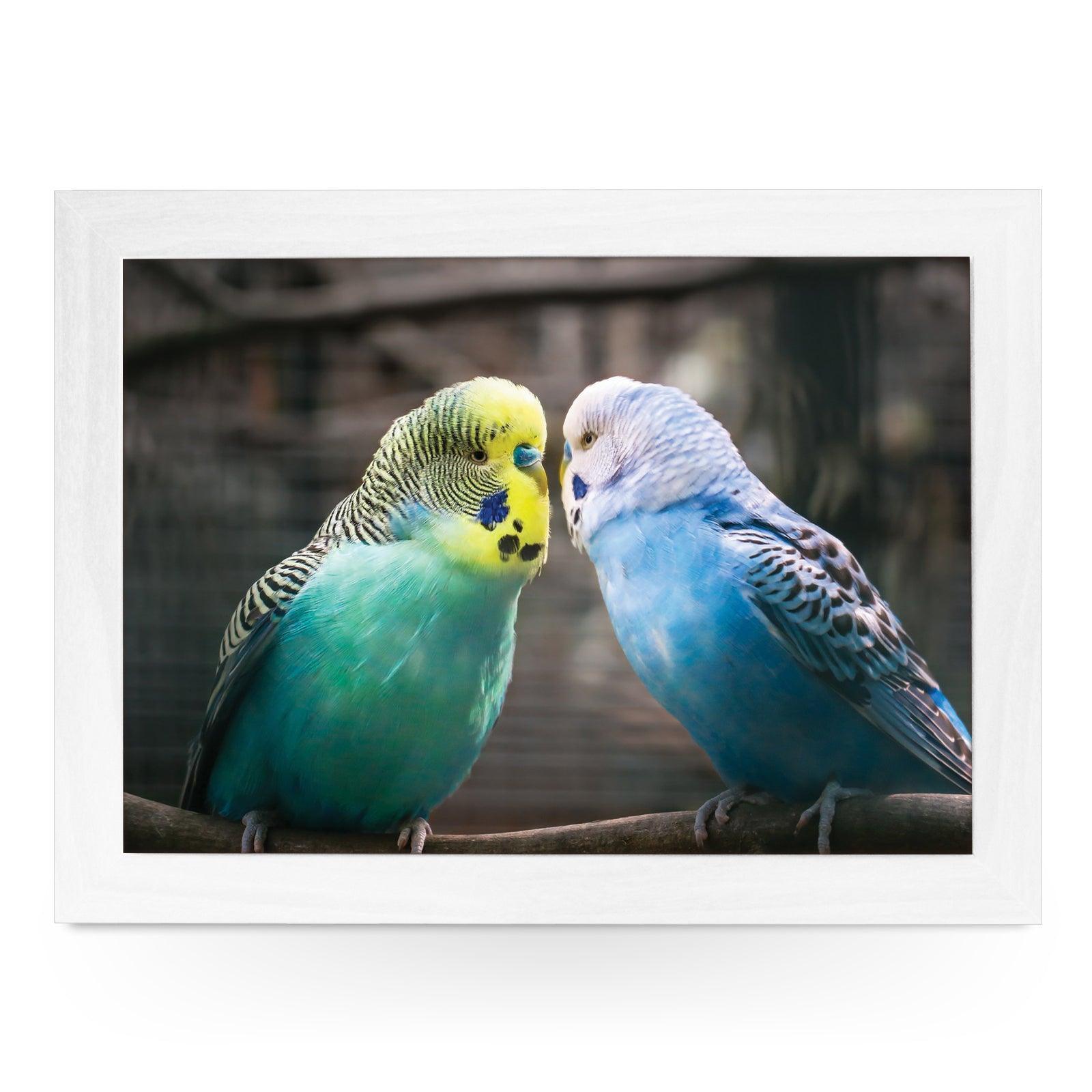 Vibrantly Colourful Budgies Lap Tray - L1188 - Cushioned Lap Trays by Yoosh