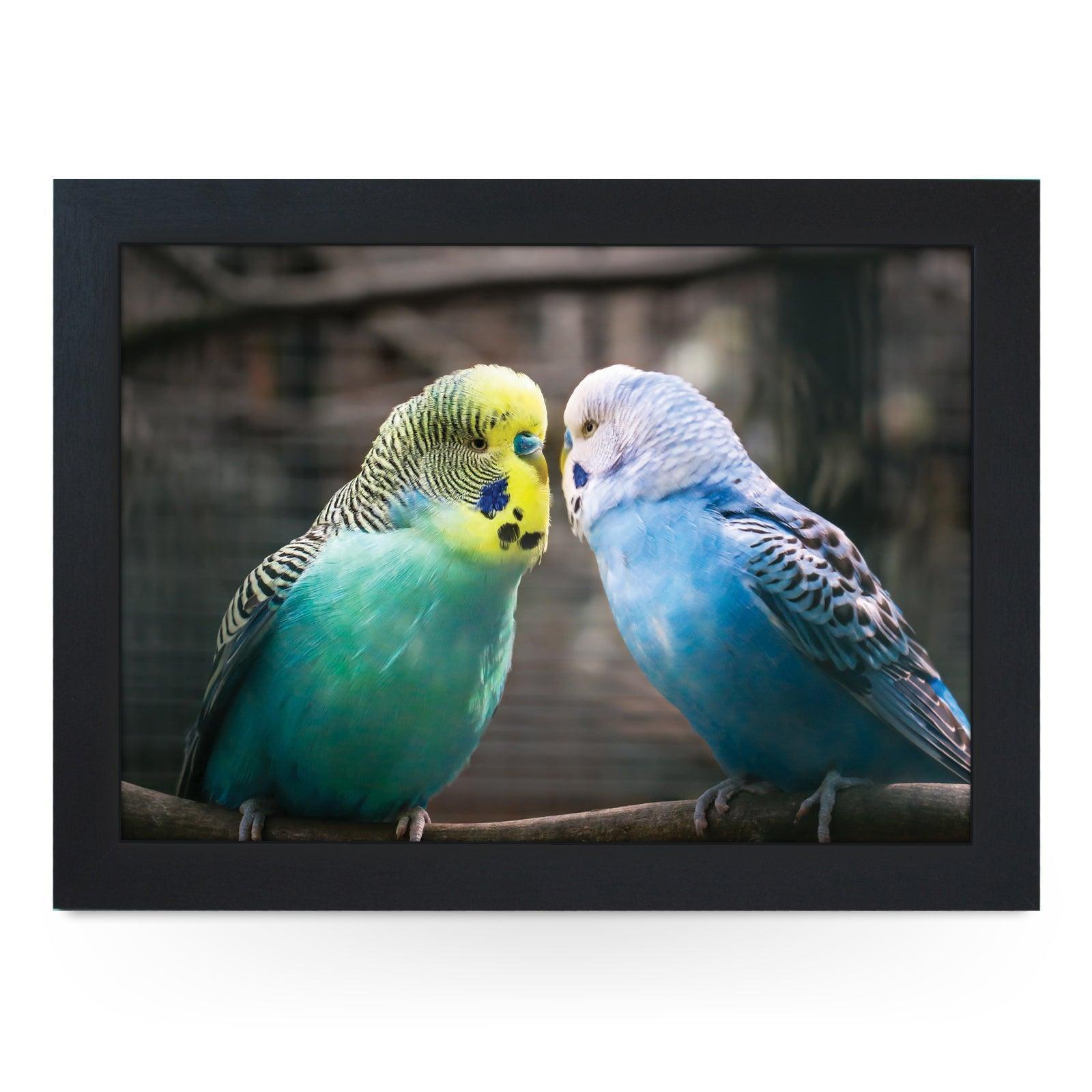 Vibrantly Colourful Budgies Lap Tray - L1188 - Cushioned Lap Trays by Yoosh