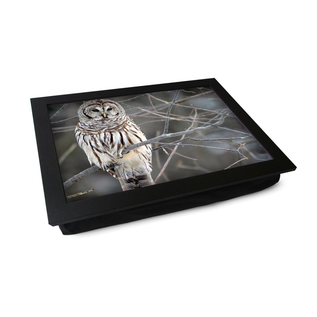 White Owl Lap Tray - L0420 Personalised Lap Trays