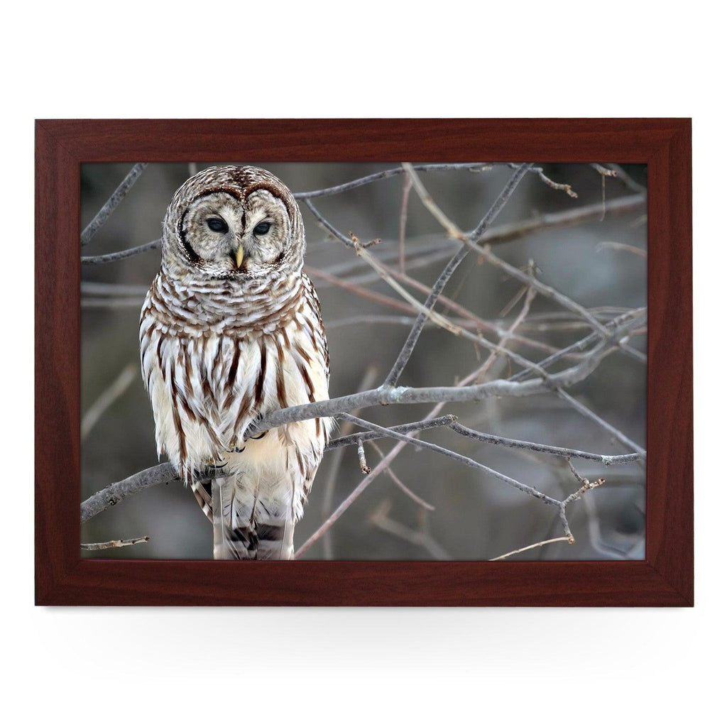 White Owl Lap Tray - L0420 Personalised Lap Trays