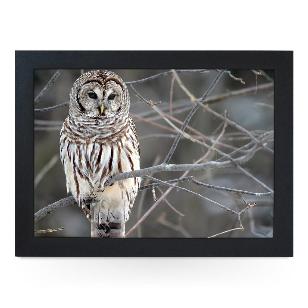 White Owl Lap Tray - L0420 Personalised Lap Trays